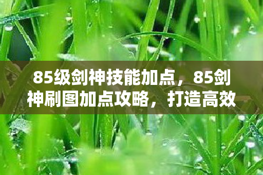 85剑神刷图加点攻略图片