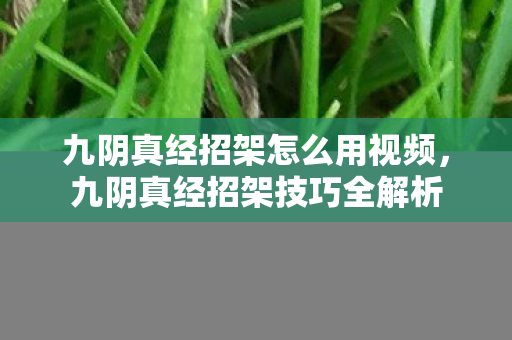 九阴真经招架怎么用视频图片