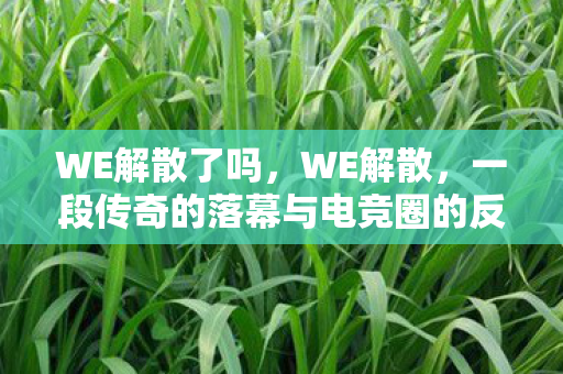 一段传奇的落幕与电竞圈的反思图片