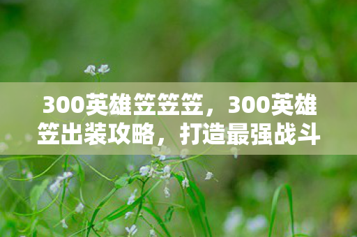 300英雄笠出装攻略图片