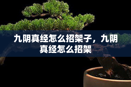 九阴真经怎么招架子图片