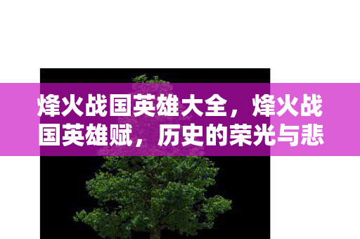 烽火战国英雄大全图片