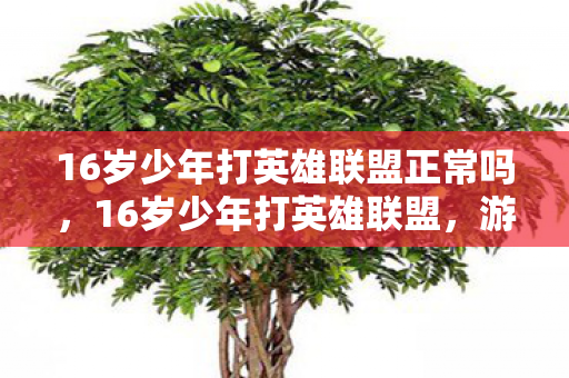 16岁少年打英雄联盟正常吗图片