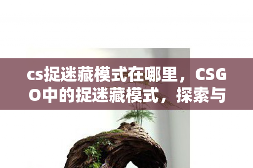 cs捉迷藏模式在哪里，CSGO中的捉迷藏模式，探索与策略的乐趣结合