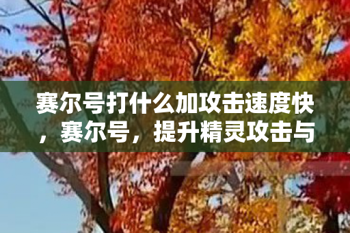 提升精灵攻击与速度的实战策略图片
