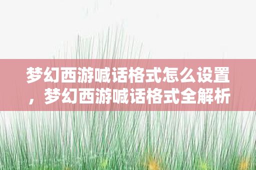 梦幻西游喊话格式怎么设置图片