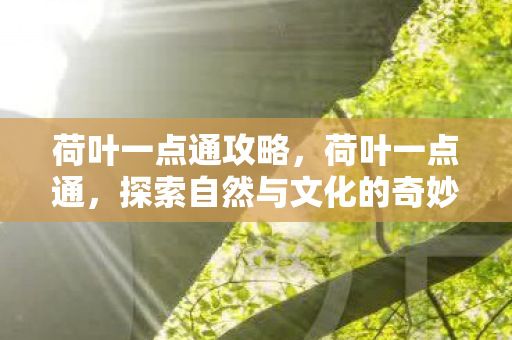 探索自然与文化的奇妙融合图片