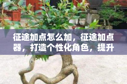 征途加点怎么加图片