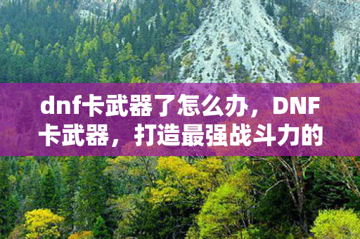 dnf卡武器了怎么办图片