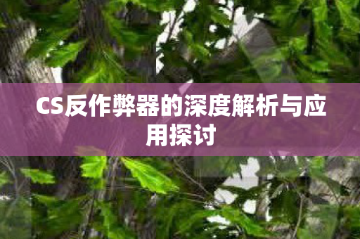 CS反作弊器的深度解析与应用探讨