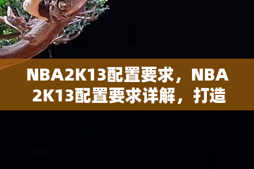NBA 2K13配置要求详解图片