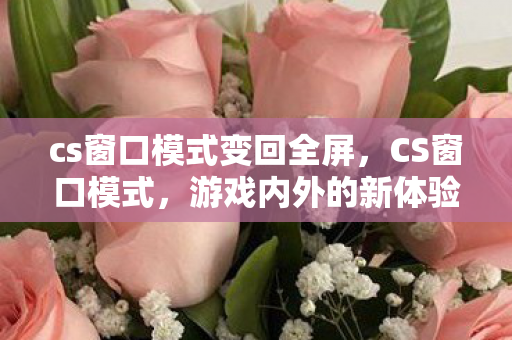 cs窗口模式变回全屏，CS窗口模式，游戏内外的新体验
