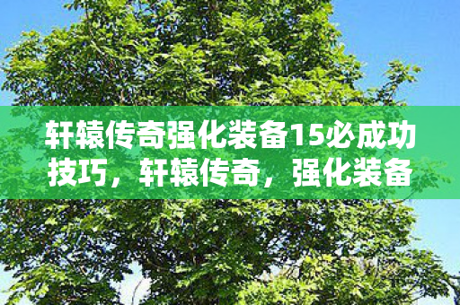 轩辕传奇强化装备15必成功技巧图片