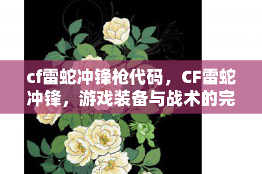 游戏装备与战术的完美结合图片