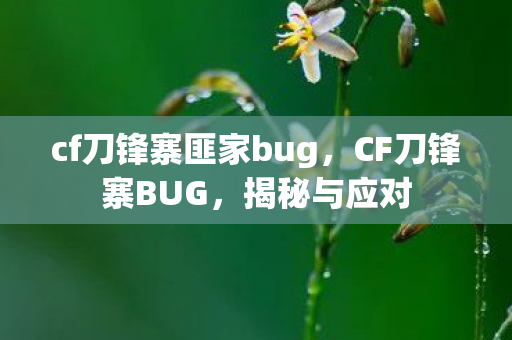 cf刀锋寨匪家bug图片