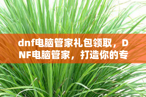 打造你的专属游戏优化神器图片