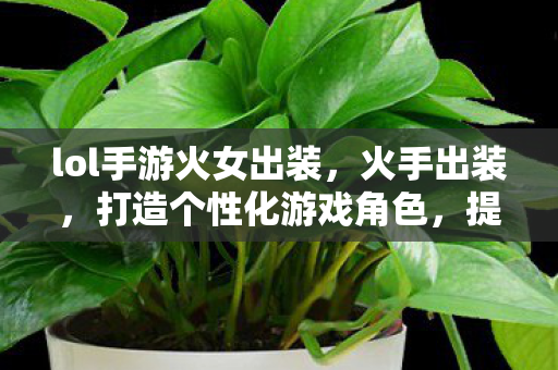 lol手游火女出装图片