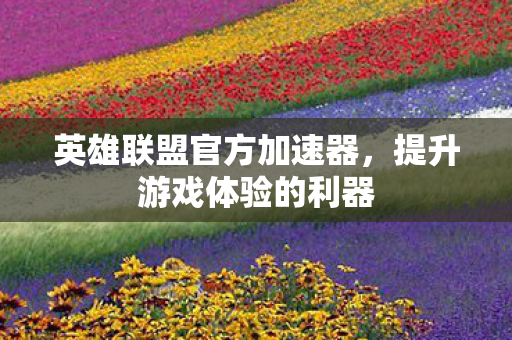 英雄联盟官方加速器图片