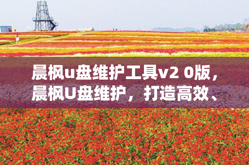 晨枫u盘维护工具v2 0版图片