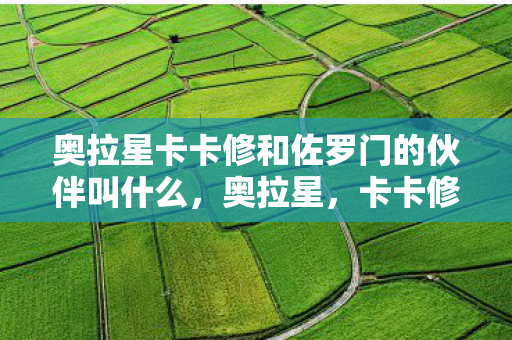 奥拉星卡卡修和佐罗门的伙伴叫什么图片