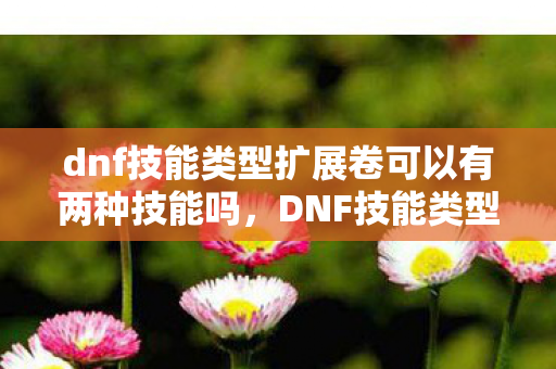dnf技能类型扩展卷可以有两种技能吗图片