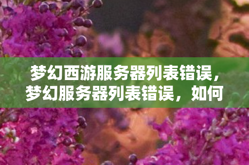 梦幻西游服务器列表错误图片