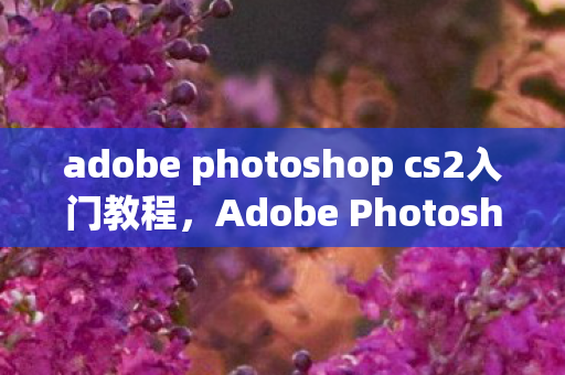adobe photoshop cs2入门教程图片
