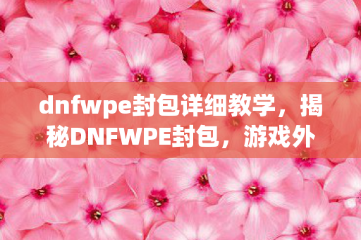 dnfwpe封包详细教学图片