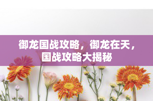 国战攻略大揭秘图片