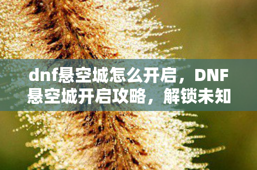 解锁未知领域的冒险之旅图片