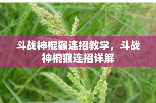 斗战神棍猴连招教学图片