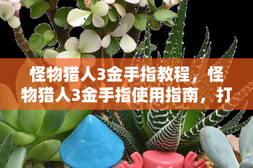 怪物猎人3金手指使用指南图片