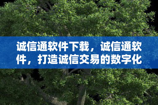 打造诚信交易的数字化桥梁图片