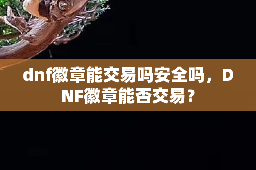 dnf徽章能交易吗安全吗图片