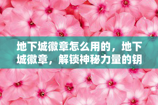 地下城徽章怎么用的图片