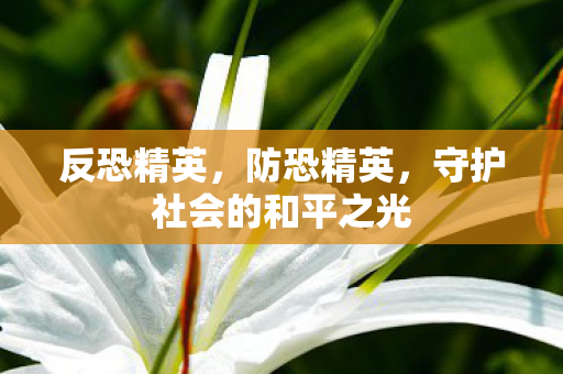 反恐精英，防恐精英，守护社会的和平之光