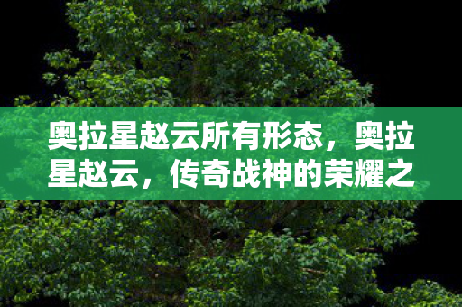 奥拉星赵云所有形态图片