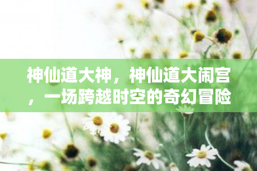 一场跨越时空的奇幻冒险图片