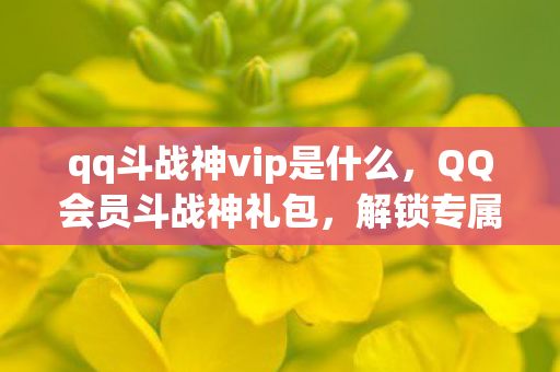 qq斗战神vip是什么图片