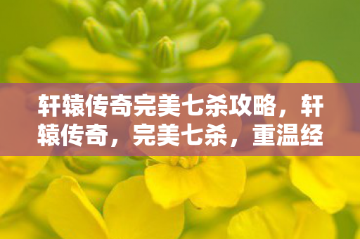 轩辕传奇完美七杀攻略图片