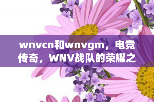 wnvcn和wnvgm，电竞传奇，WNV战队的荣耀之路