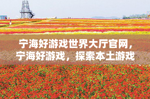宁海好游戏世界大厅官网图片