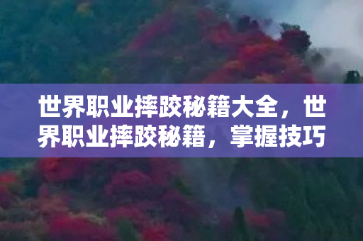 世界职业摔跤秘籍大全图片