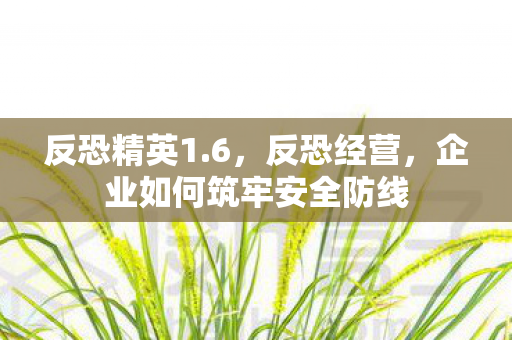 反恐精英1.6，反恐经营，企业如何筑牢安全防线