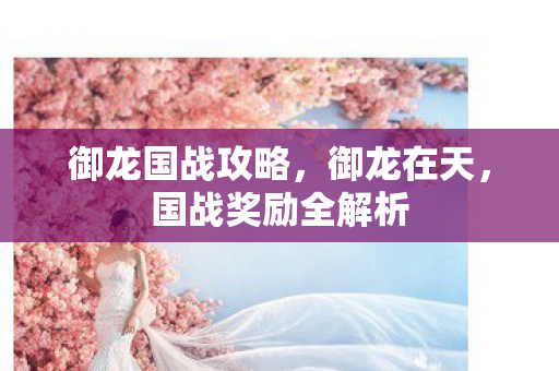 国战奖励全解析图片