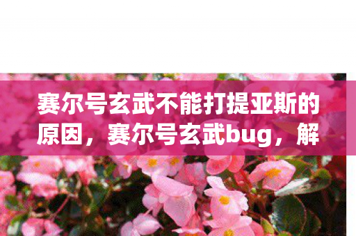 赛尔号玄武不能打提亚斯的原因图片