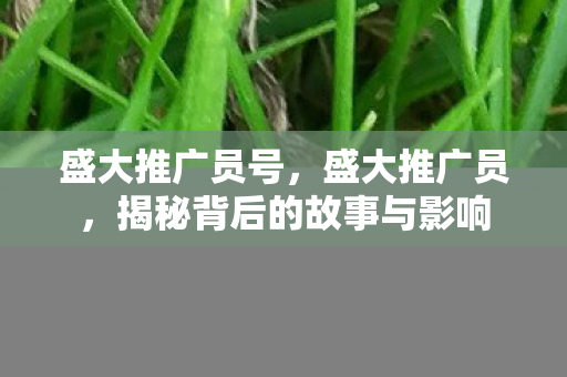 揭秘背后的故事与影响图片