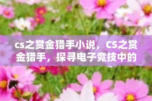 cs之赏金猎手小说，CS之赏金猎手，探寻电子竞技中的英勇之路