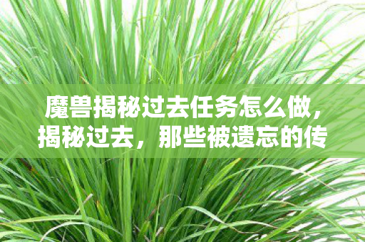 魔兽揭秘过去任务怎么做图片