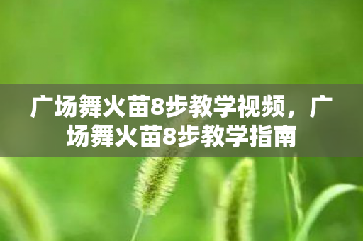 广场舞火苗8步教学视频图片